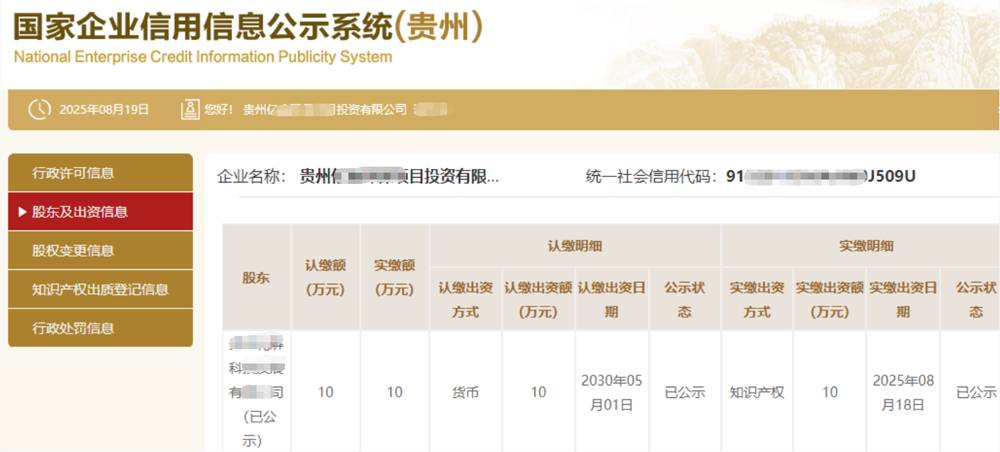 上海某项目投资公司10万知识产权实缴案例