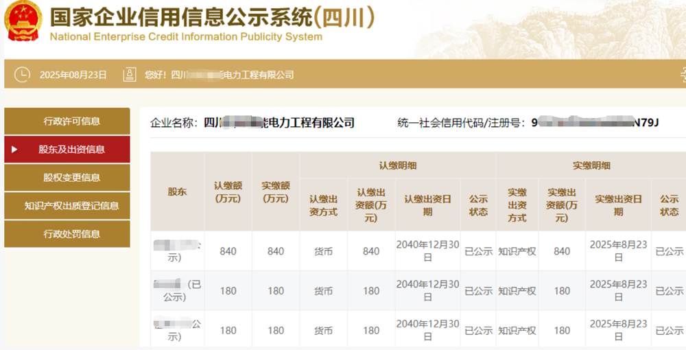 广州某电力工程公司1200万知识产权实缴案例