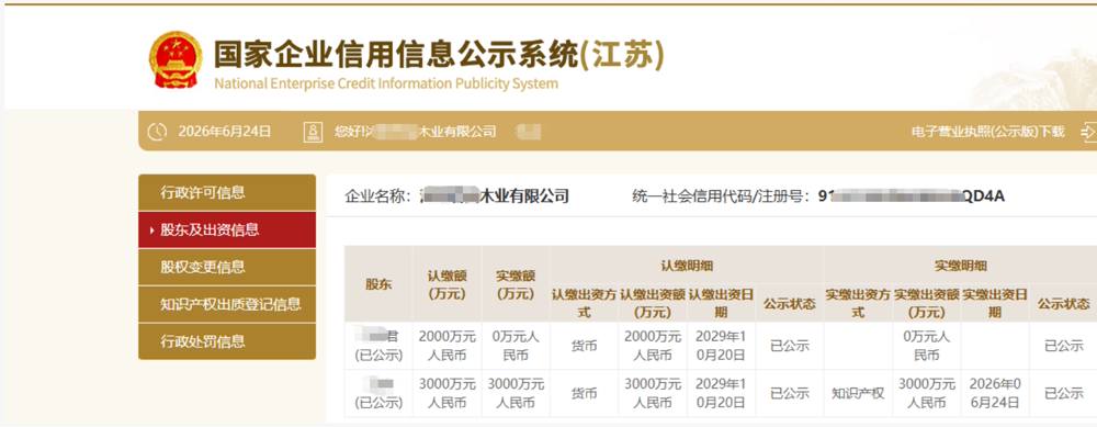 合肥某木业公司5000万知识产权实缴案例