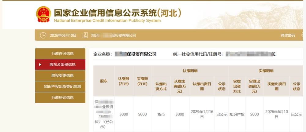 北京某环保投资公司5000万知识产权实缴案例