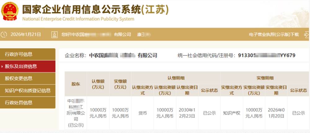 海口某农业科技公司10000万知识产权实缴案例
